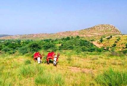 Samode Village Tour Rajasthan
