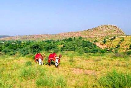 Samode village tour rajasthan